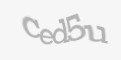 Código de segurança